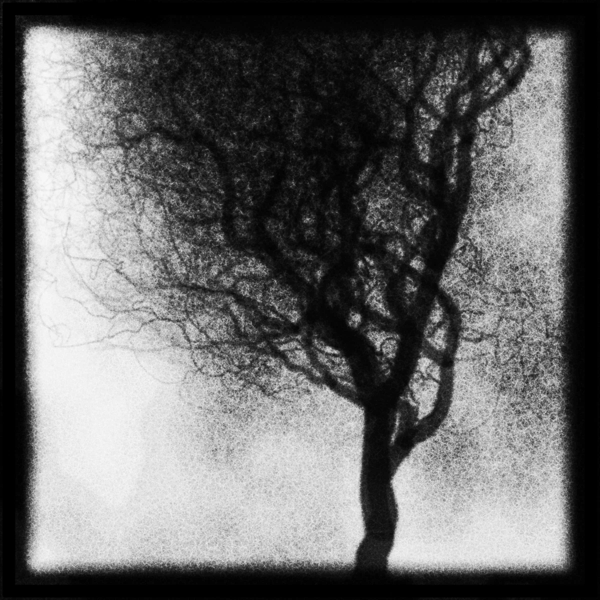 Arboreal