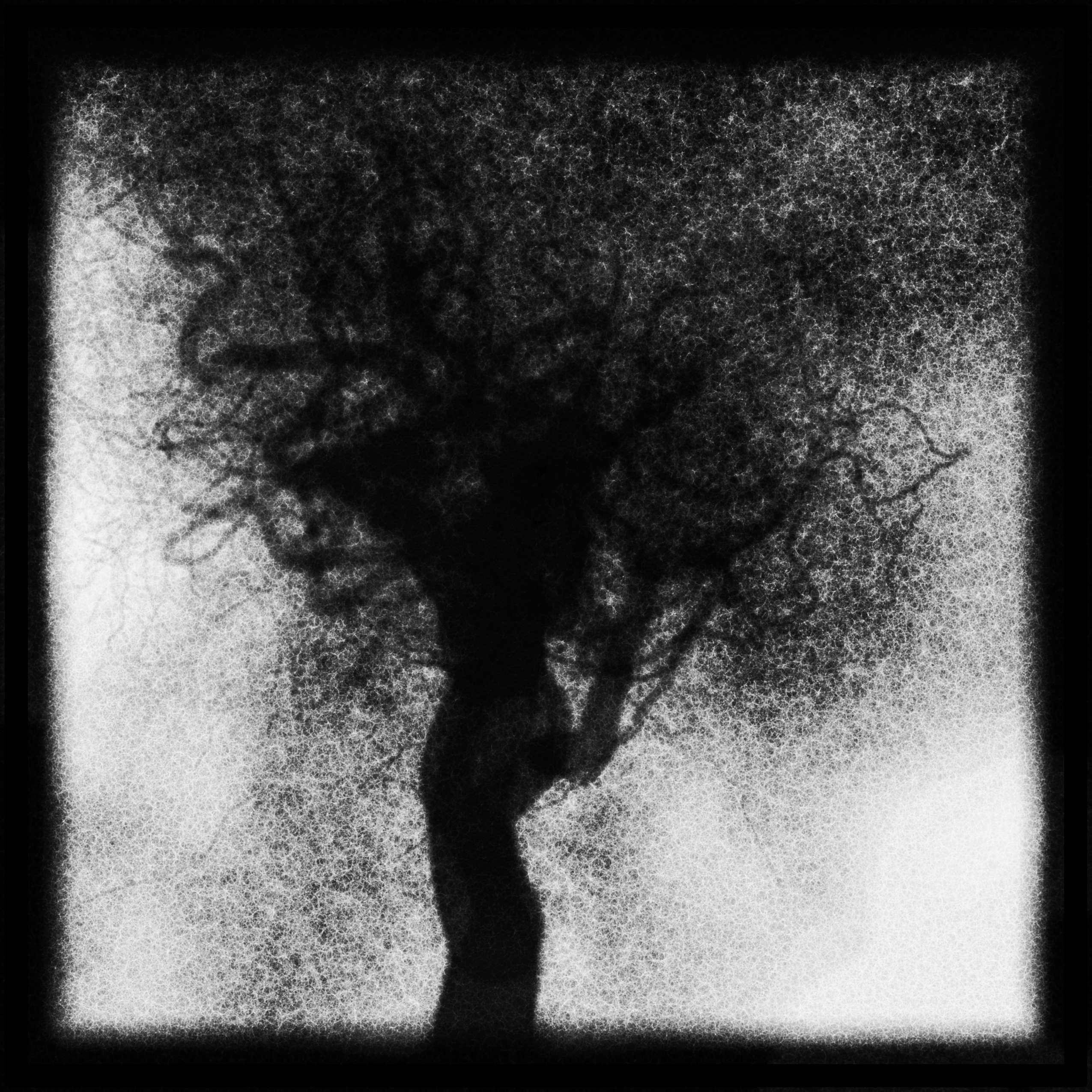 Image générative d'un arbre dense et nu dans un grain de fusain, une lourde couronne ondoyante de fines branches emmêlées sur un tronc robuste contre un sol brumeux.