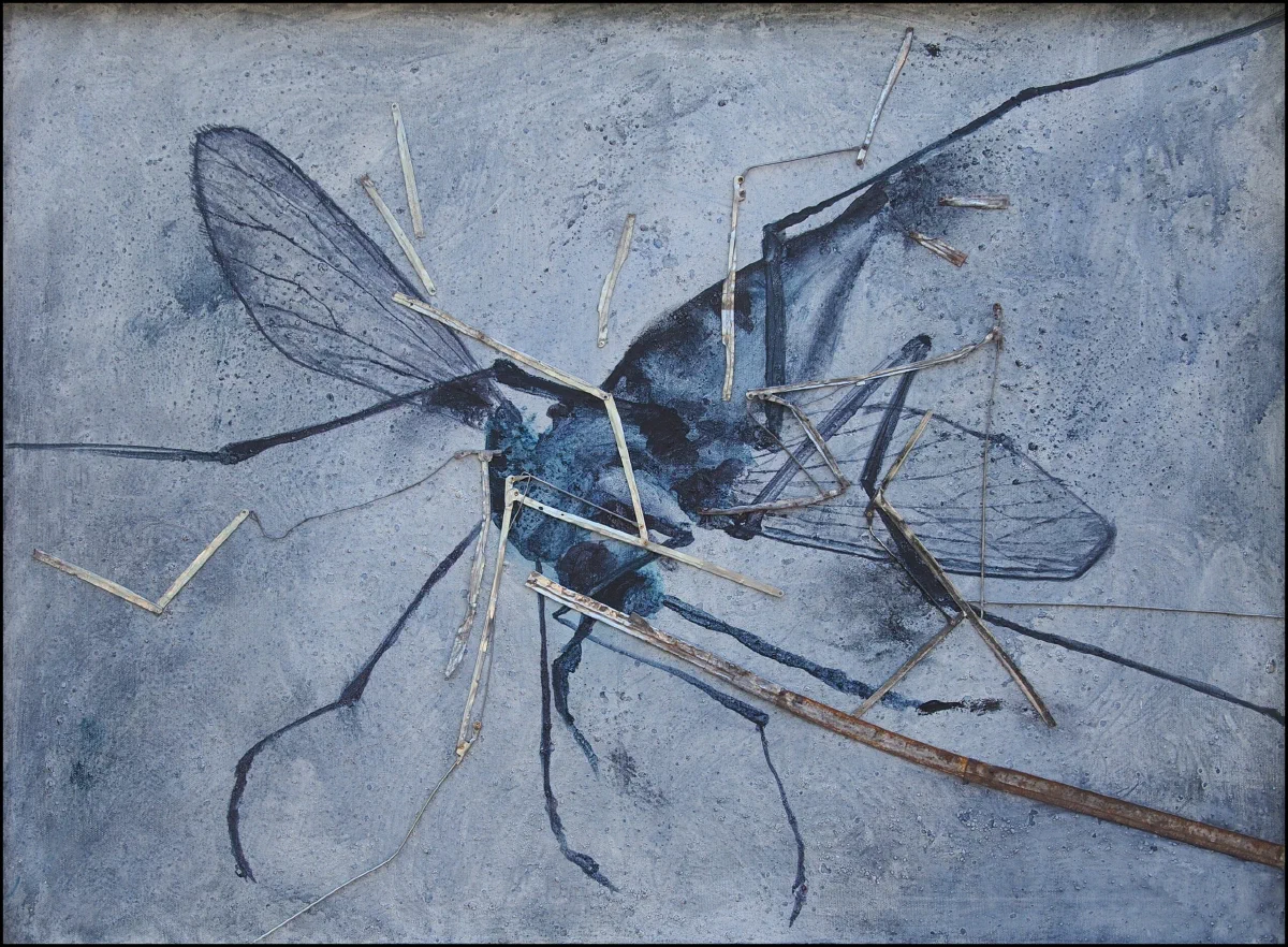 Zanzara schiacciata 2