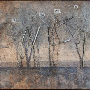 Foresta di ombrelli