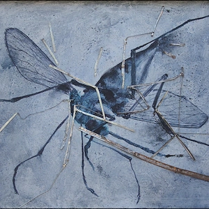Smashed Mosquito 2