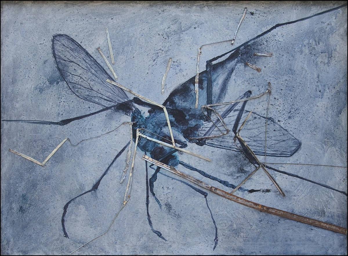 Smashed Mosquito 2