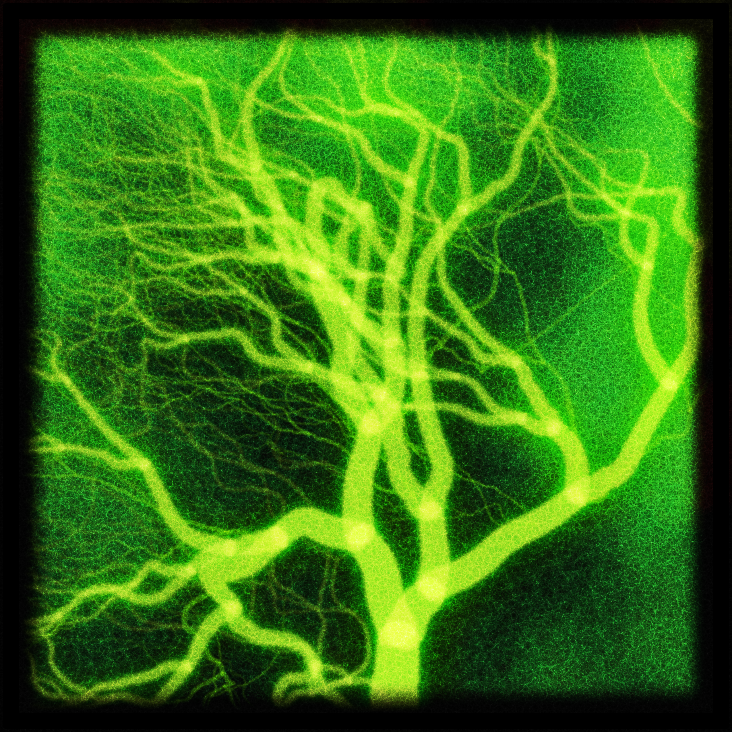 Generative image of a tree as a glowing green vein-network lit like an angiogram, bright nodes along its limbs - binary roots sprawling in light.