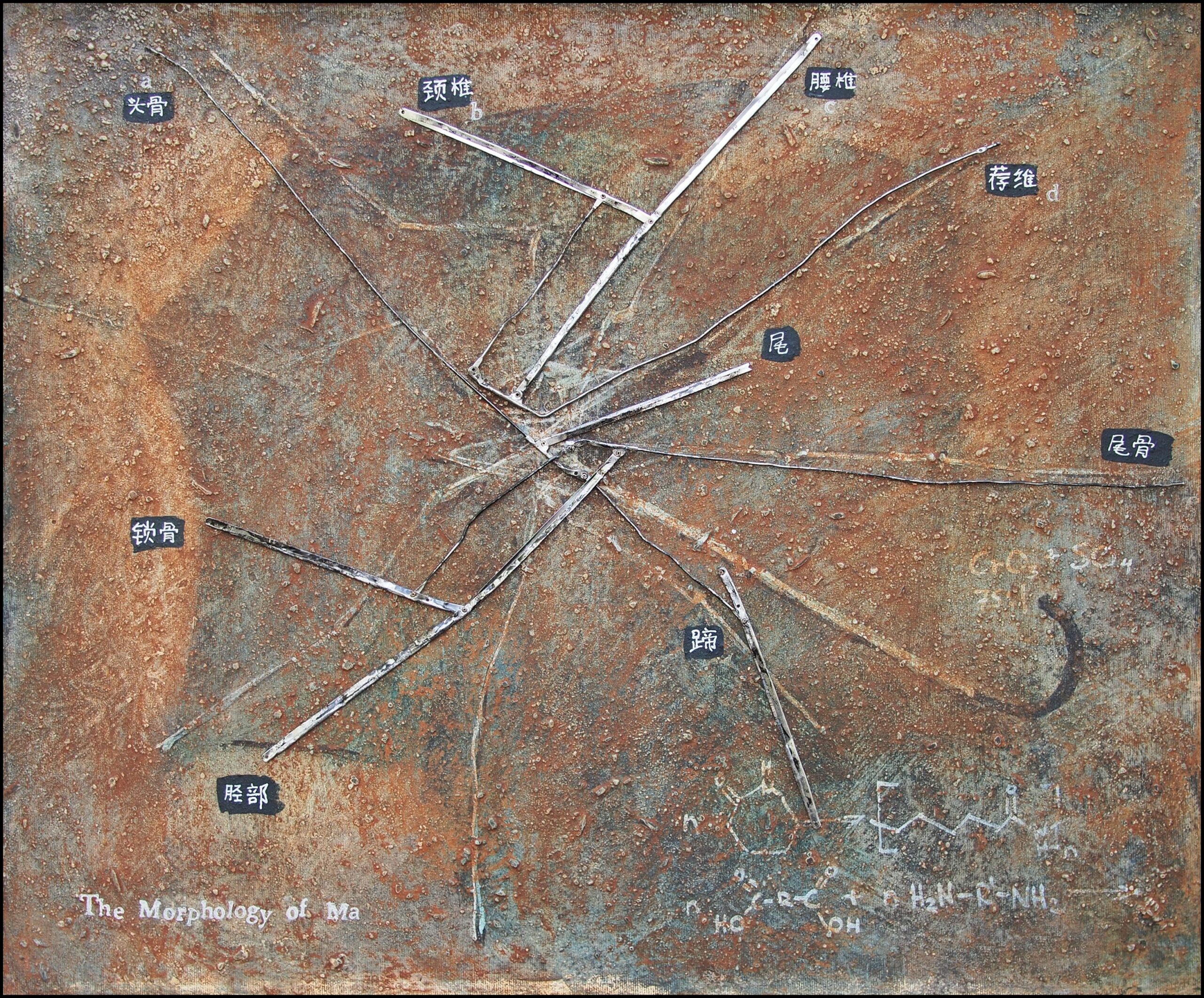 Painting of a rusted, iron-oxidised plate in which umbrella ribs splay from a single joint like the skeleton of a horse, Chinese anatomical labels naming the bones and amino-acid formulae scrawled in the corner - a mock natural-history specimen of decay.